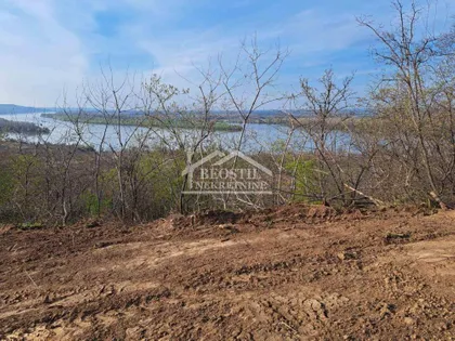 Brestovnik | 4zida.rs