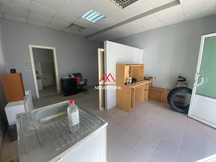 Pavla Papa | 4zida.rs