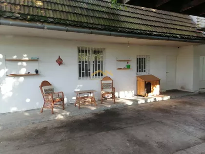 Salajka | 4zida.rs