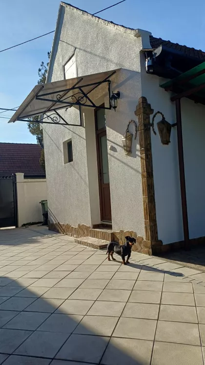 Branislava Nušića 19 | 4zida.rs