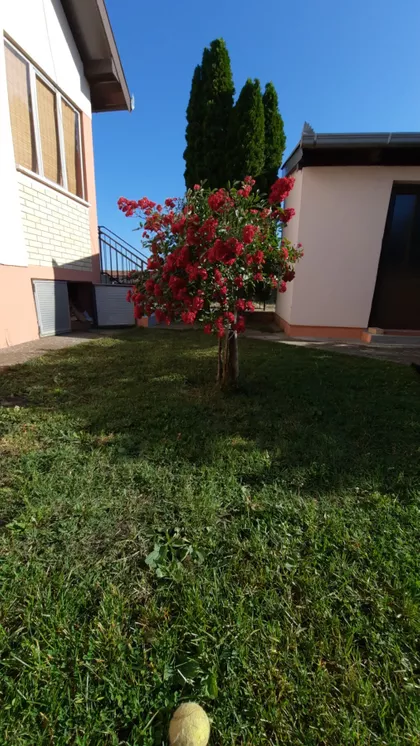 Vladimirovac | 4zida.rs