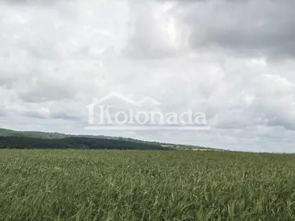 Dučina | 4zida.rs