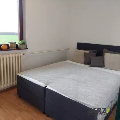 Nova Detelinara | 4zida.rs