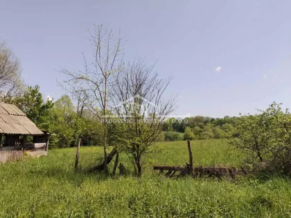Dučina | 4zida.rs