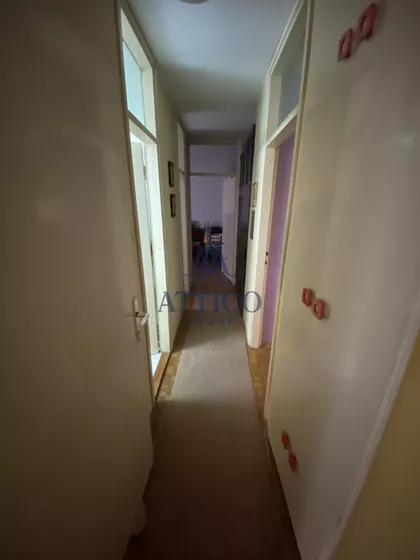 Rotkvarija | 4zida.rs