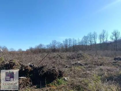 Mala Moštanica | 4zida.rs