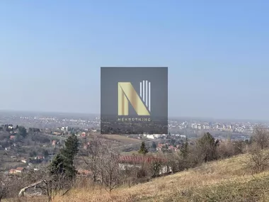 Sremska Kamenica