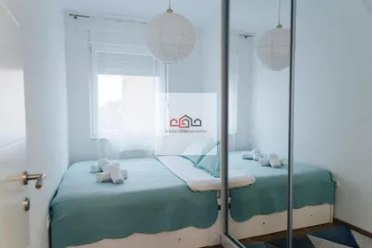 Rotkvarija | 4zida.rs