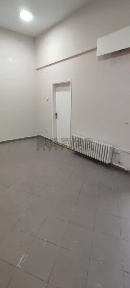 Đuke Dinić | 4zida.rs