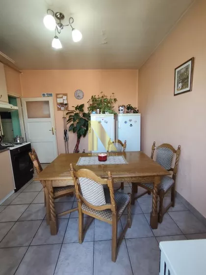 Cara Dušana | 4zida.rs