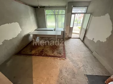 Milana Predića