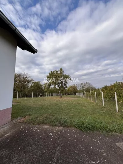 Čortanovci | 4zida.rs