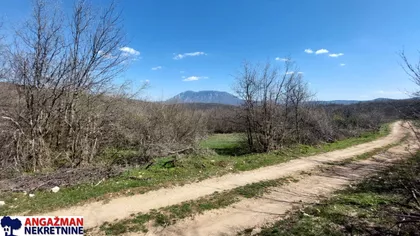 Krivovirska | 4zida.rs