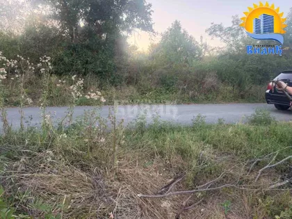 Veliki Borak | 4zida.rs