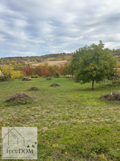 Sremska Kamenica | 4zida.rs