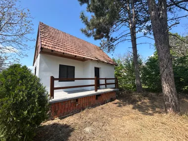 Beogradski Put