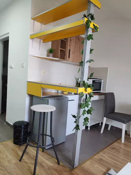 Vase Ostojića | 4zida.rs