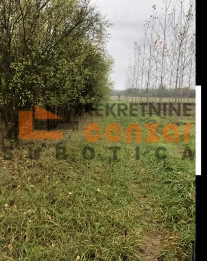 Hajdukovo | 4zida.rs