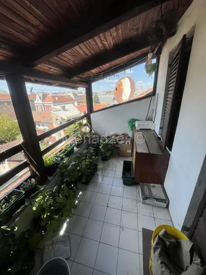 Dr Petra Markovića | 4zida.rs