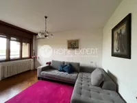 Novi Sad - Centar, Stari Grad, Gradske lokacije, Novi Sad | 4zida.rs | 4zida.rs