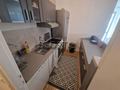 Dr Ivana Ribara | 4zida.rs