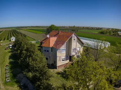 Bačko Dobro Polje | 4zida.rs