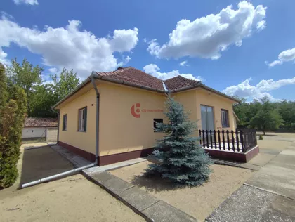 Bački Vinogradi | 4zida.rs