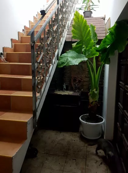 Novi Karlovci | 4zida.rs