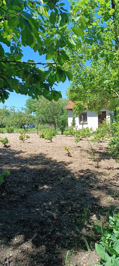 Babički Odred | 4zida.rs