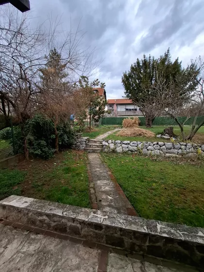 Peti Puk | 4zida.rs