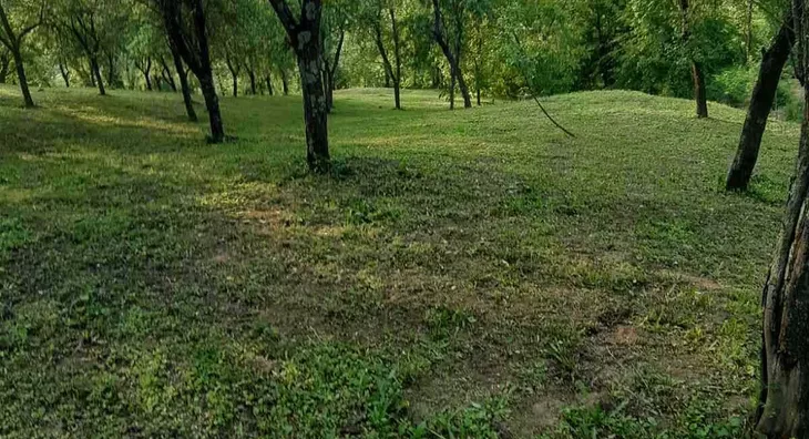 Poljoprivredno zemljište | 4zida