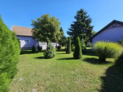 Bački Vinogradi | 4zida.rs