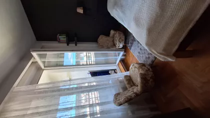 Bulevar Arsenija Čarnojevića | 4zida.rs