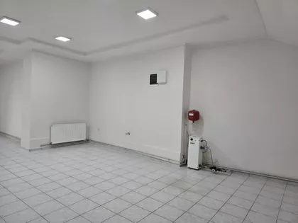 Žarka Zrenjanina | 4zida.rs