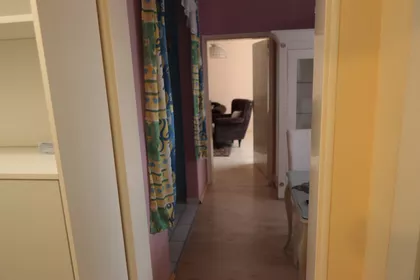 Arsenija Čarnojevića | 4zida.rs