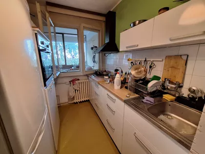 Vojvode Stepe | 4zida.rs