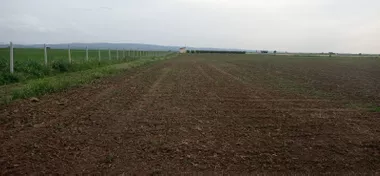 Budisava
