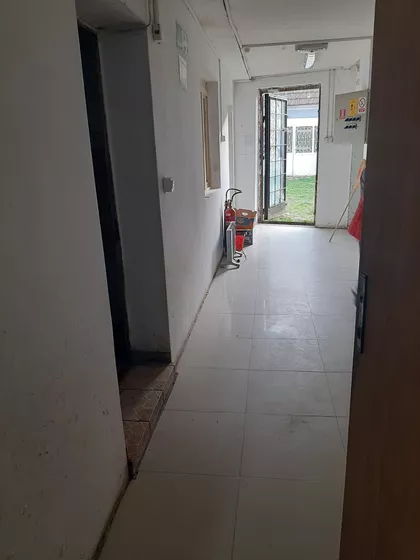 Cara Dušana | 4zida.rs