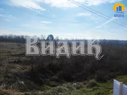 Ibarska magistrala | 4zida.rs