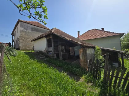 Darosava | 4zida.rs