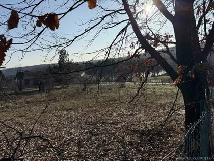 Šumarice | 4zida.rs