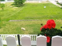 Klisa, Gradske lokacije, Novi Sad | 4zida.rs