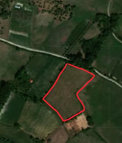 Mršelji  | 4zida.rs