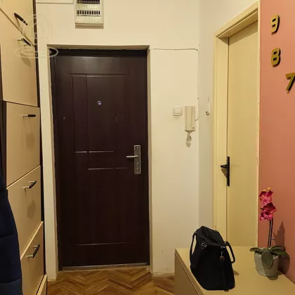 Crveni Pevac | 4zida.rs