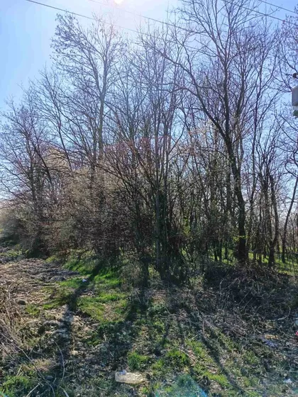 Kralja Petra Prvog bb | 4zida.rs