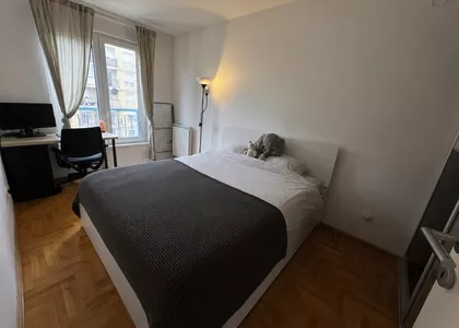 Šumadijske Divizije | 4zida.rs