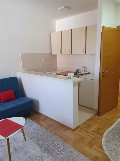 Braće Ribnikar | 4zida.rs
