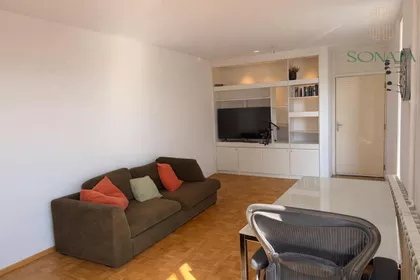 Vojvode Stepe | 4zida.rs