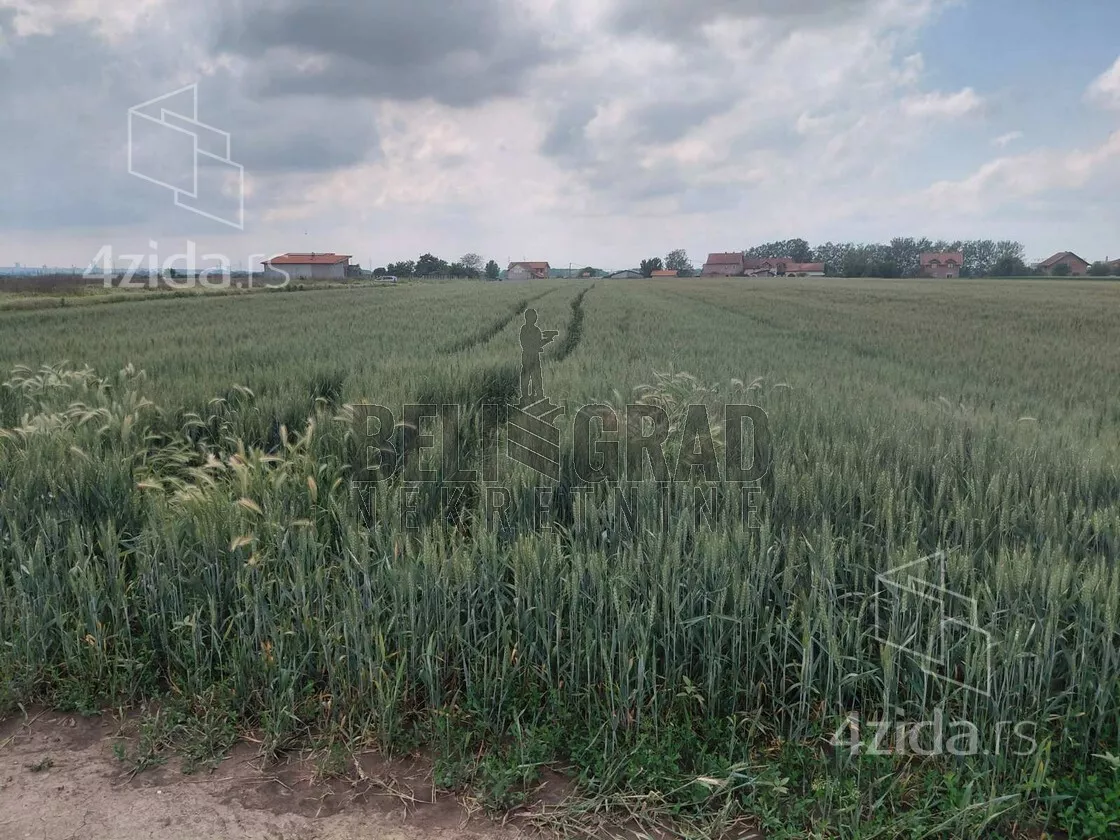 Plac | 4zida