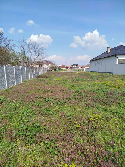 Gradske lokacije | 4zida.rs